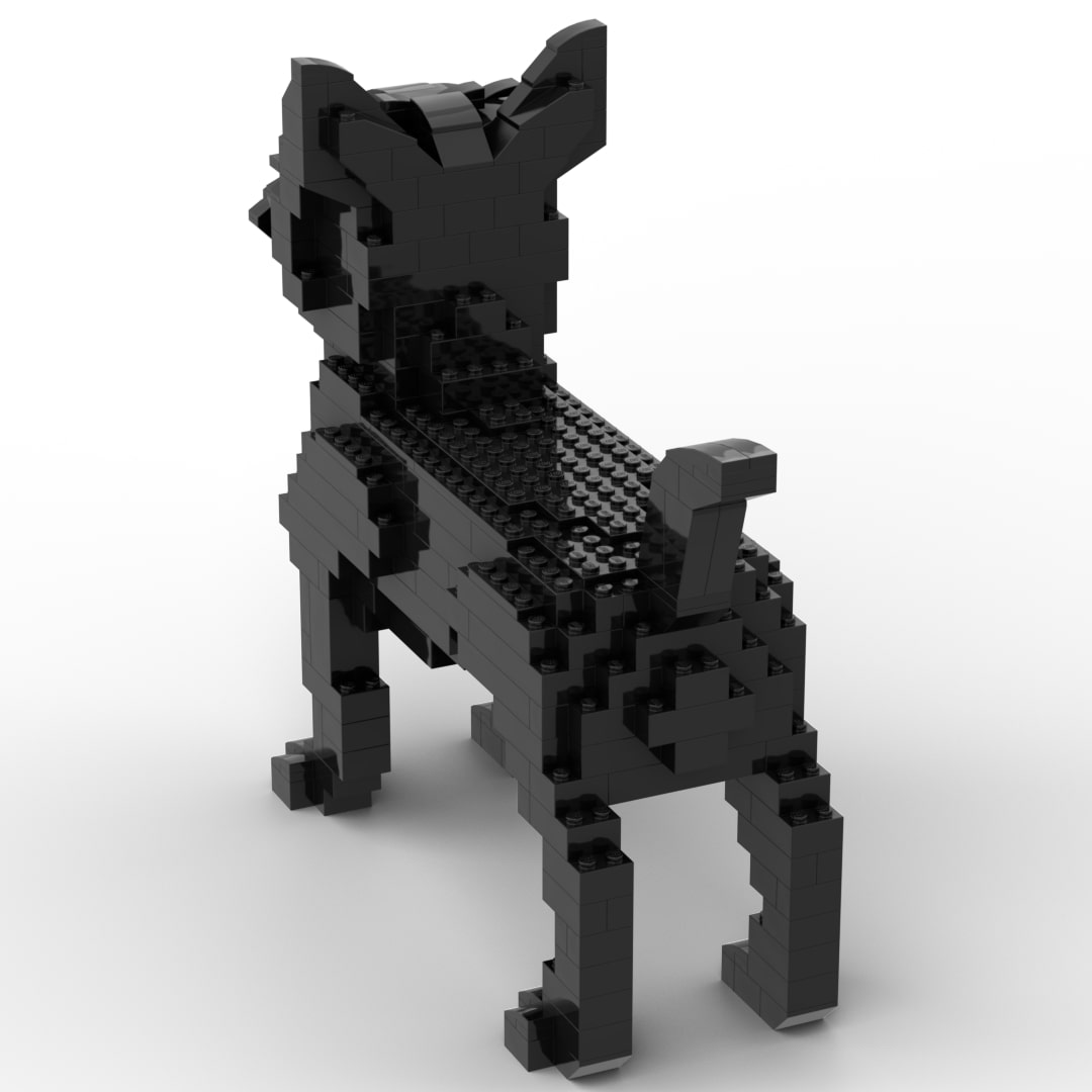 Cairn Terrier