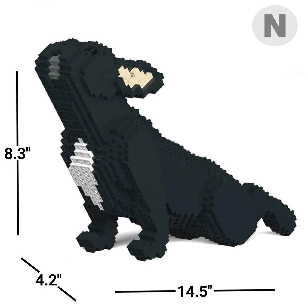 stretching-normal-black