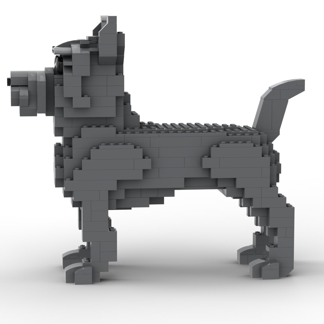 Cairn Terrier