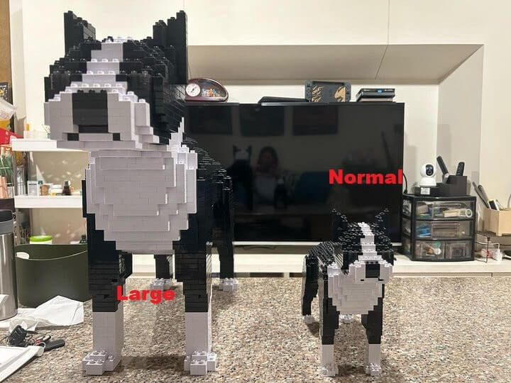 normal-black