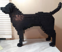 Perro Labrador Retriever