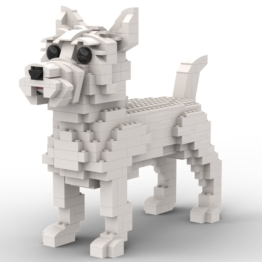 Cairn Terrier
