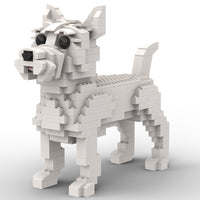 Cairn Terrier