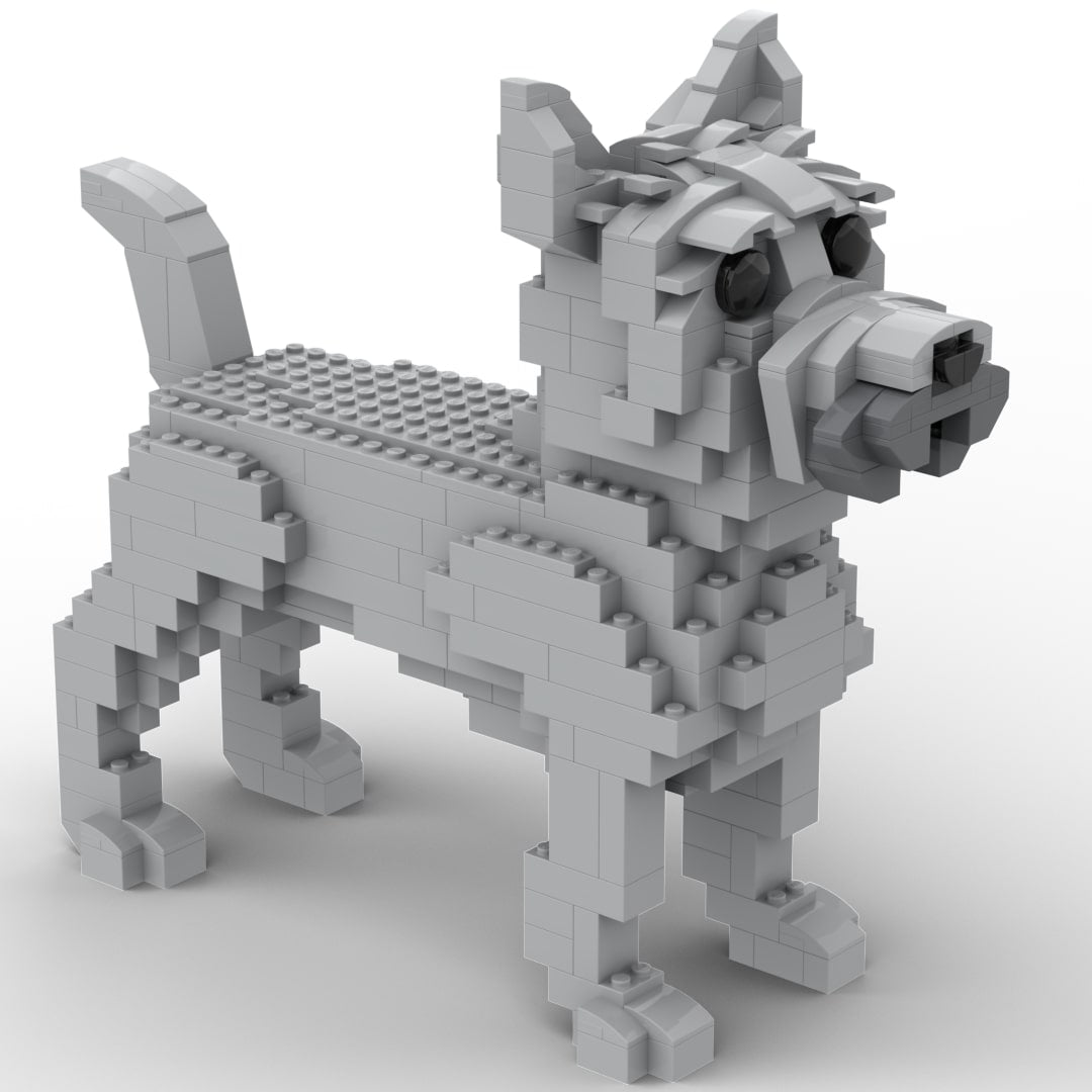 Cairn Terrier