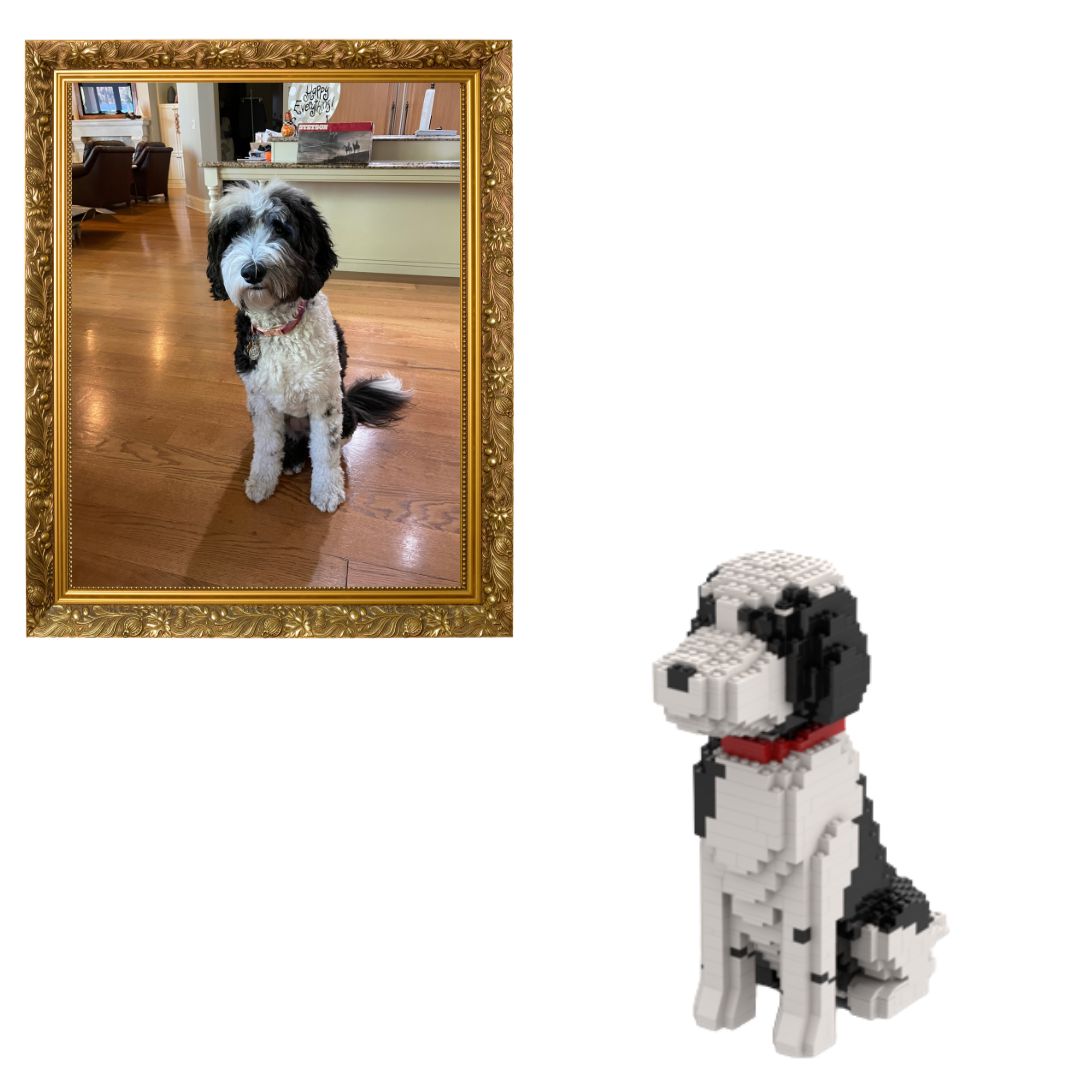 Kit de mascota personalizado (no incluye ladrillos)