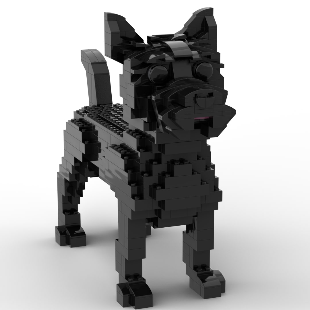Cairn Terrier
