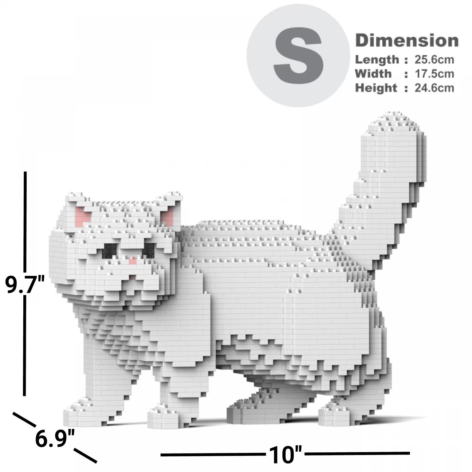 Exótico de pelo corto