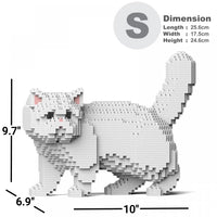 Exótico de pelo corto