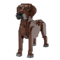 Perro crestado de Rodesia