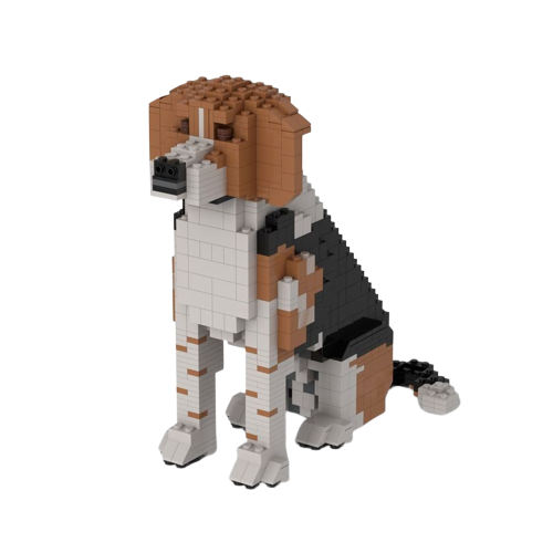 Beagle