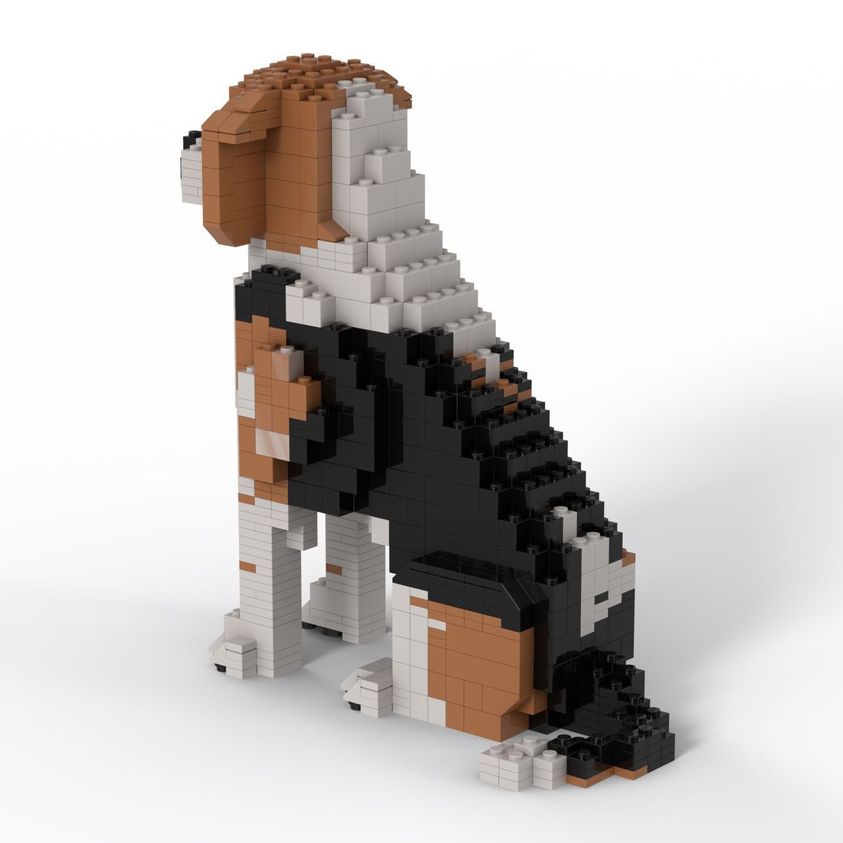 Beagle