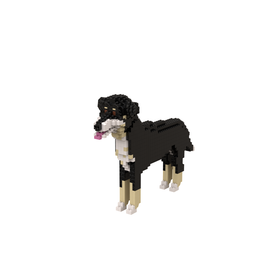 Kit de mascota personalizado (no incluye ladrillos)