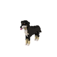 Kit personalizado para mascotas