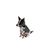 Kit personalizado para mascotas