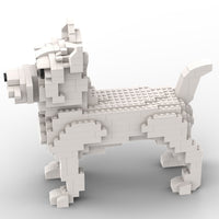 Cairn Terrier