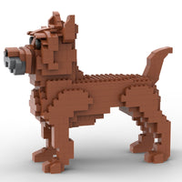 Cairn Terrier