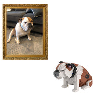 Kit de mascota personalizado (no incluye ladrillos)