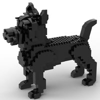 Cairn Terrier