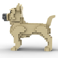 Cairn Terrier