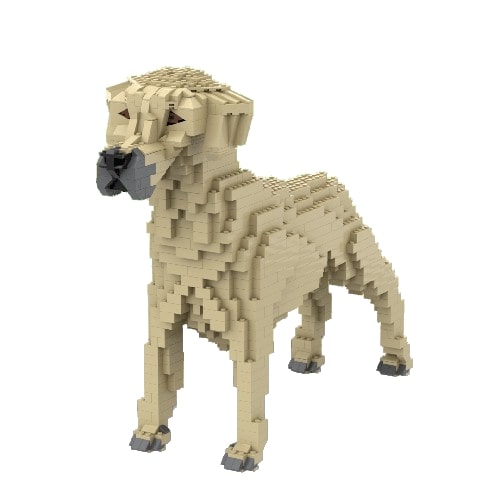 Perro crestado de Rodesia