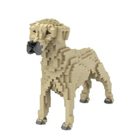 Perro crestado de Rodesia