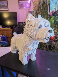 West Highland White Terrier