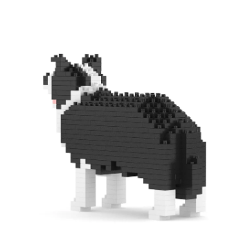 Border Collie mini