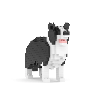 Border Collie mini