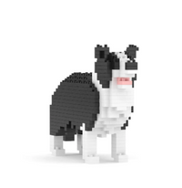 Border Collie mini