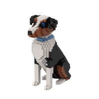 Pastor americano miniatura