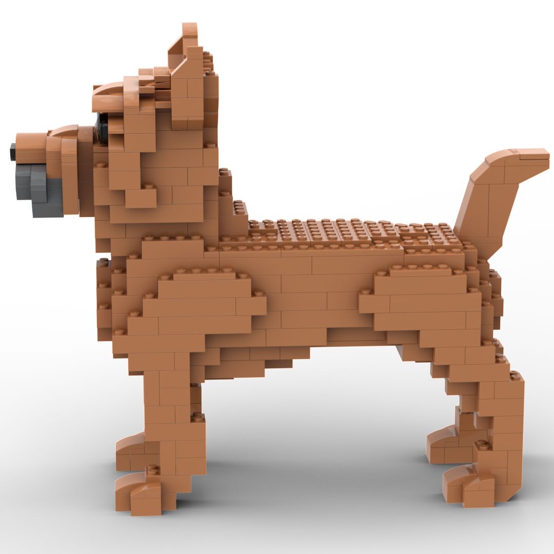 Cairn Terrier