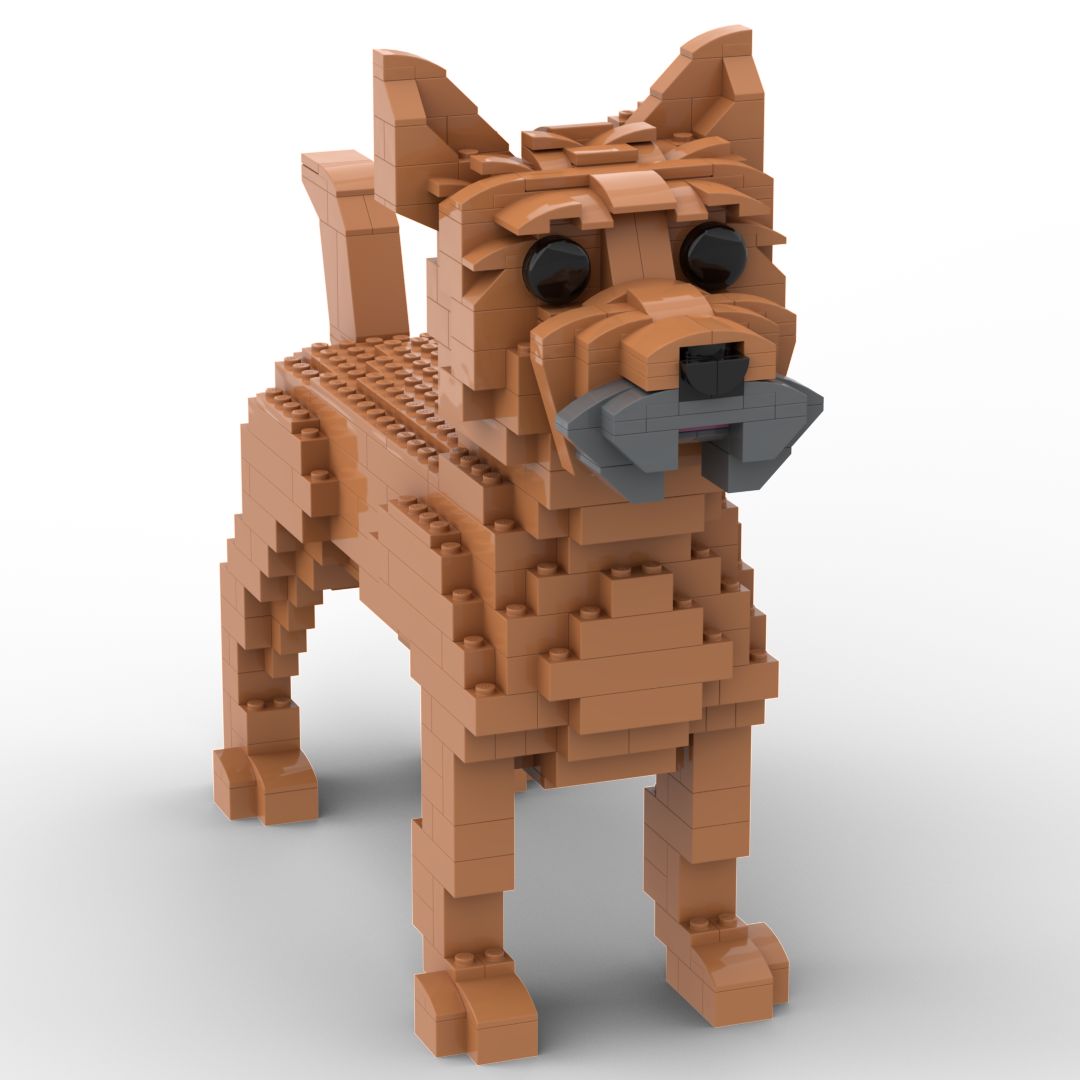 Cairn Terrier
