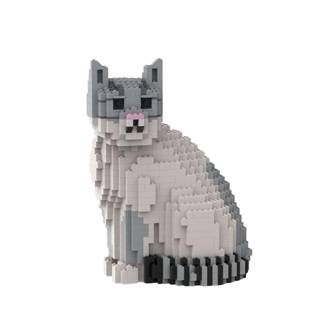 Gato doméstico de pelo corto