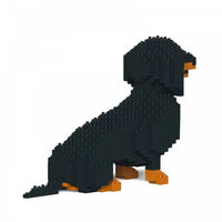 Dachshund (SALE) - Black - Sitting - normal - black - sitting