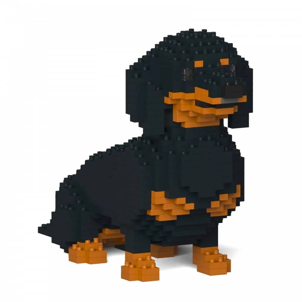Dachshund (SALE) - Black - Sitting - normal - black - sitting