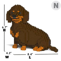 Dachshund (SALE) - Black - Sitting - darkbrown - black - looking