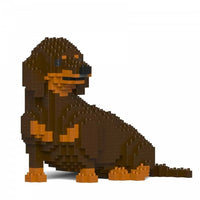 Dachshund (SALE) - Black - Sitting - darkbrown - black - looking