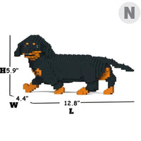 Dachshund (SALE) - Black - Walking - normal - black - walking