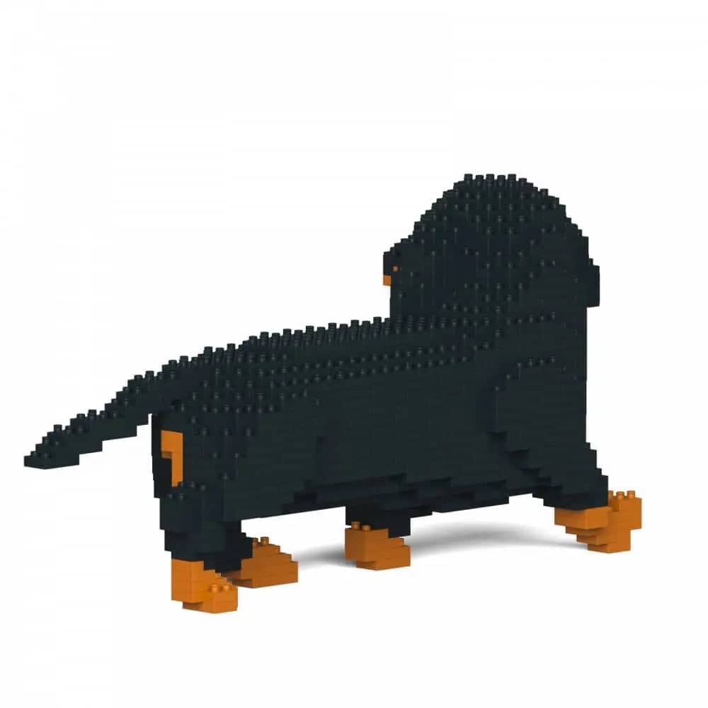 Dachshund (SALE) - Black - Walking - normal - black - walking