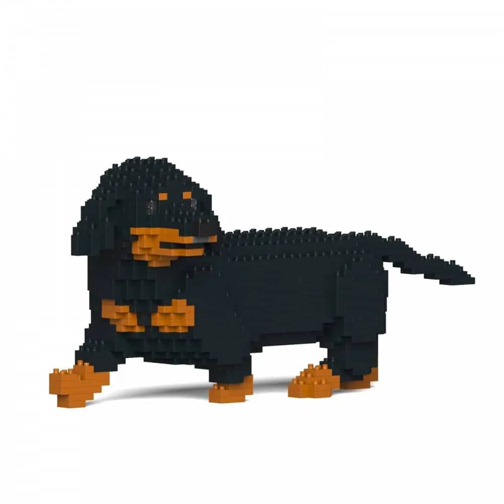 Dachshund (SALE) - Black - Walking - normal - black - walking