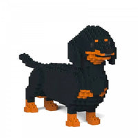 Dachshund (SALE) - Black - Standing - normal - black - standing