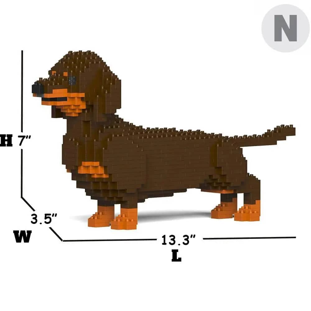 Dachshund (SALE) - Dark Brown - Standing - normal - darkbrown - standing