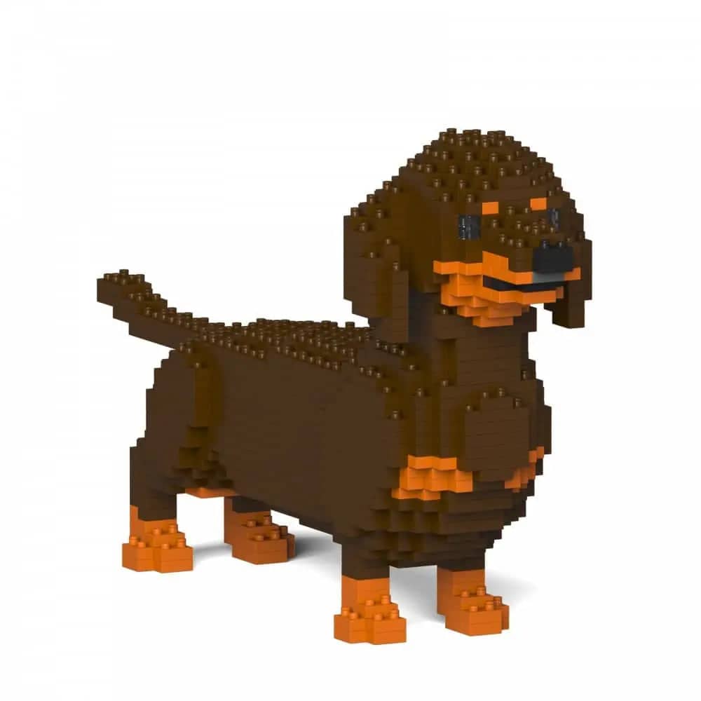 Dachshund (SALE) - Dark Brown - Standing - normal - darkbrown - standing