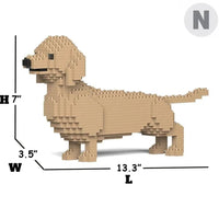 Dachshund (SALE) - Dark Brown - Standing - normal - cream - standing