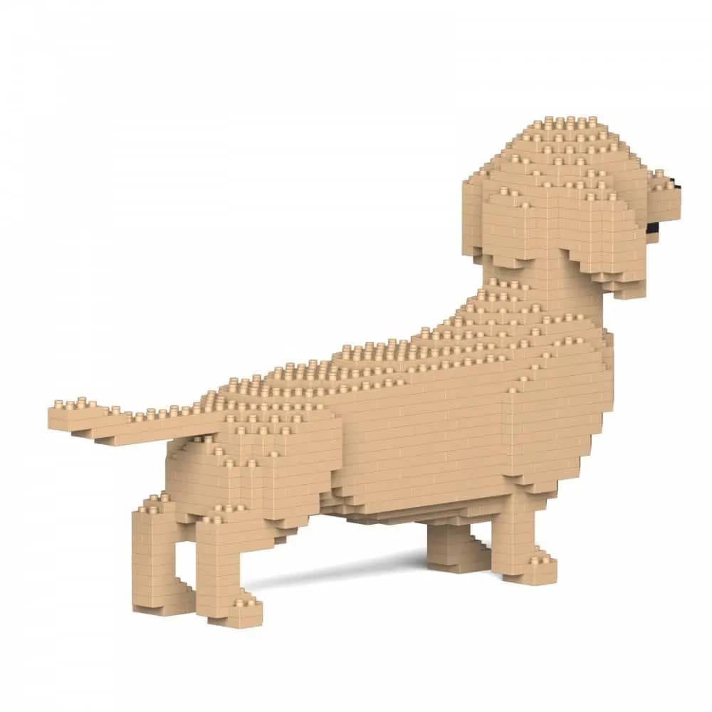 Dachshund (SALE) - Dark Brown - Standing - normal - cream - standing