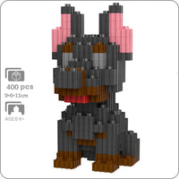 Mini dóberman pinscher