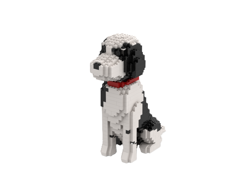 Perro de agua portugués