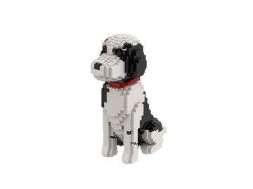 Perro de agua portugués