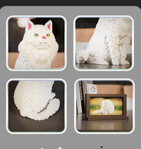 White Cat (2025) - White Cat (2025)