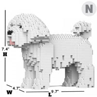 Maltese (SALE) - normal - white